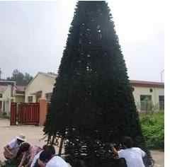 Giant Christmas Tree