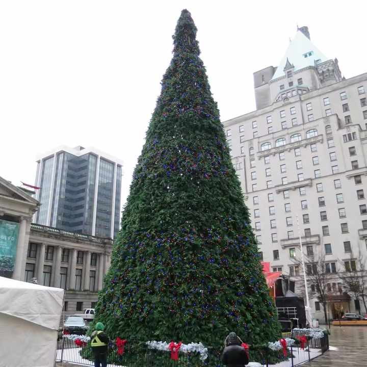 Giant Christmas Tree